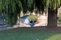 Ed -DSC_0231